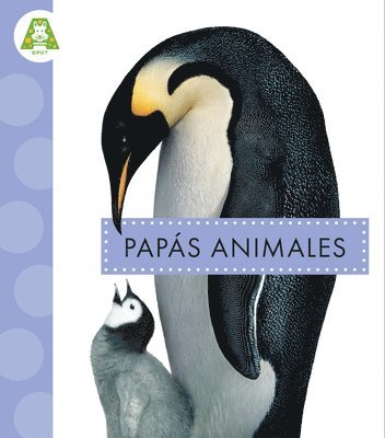 Mari C. Schuh - Papás Animales, Inbunden. Tillgänglighet: Lägg i varukorg