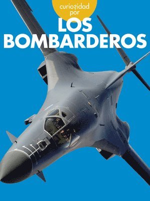 bokomslag Curiosidad Por Los Bombarderos