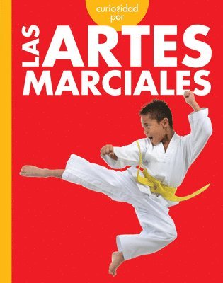 bokomslag Curiosidad Por Las Artes Marciales