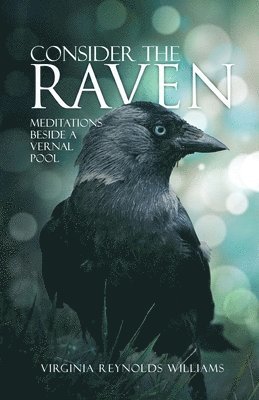 bokomslag Consider The Raven