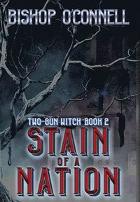 bokomslag Stain of a Nation