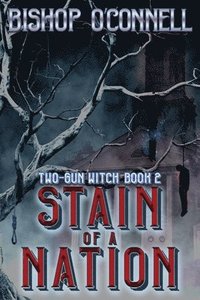bokomslag Stain of a Nation