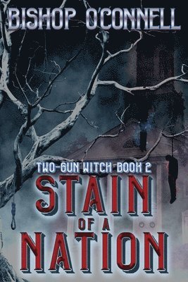 bokomslag Stain of a Nation