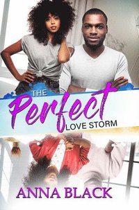 bokomslag The Perfect Love Storm
