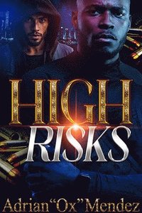 bokomslag High Risks