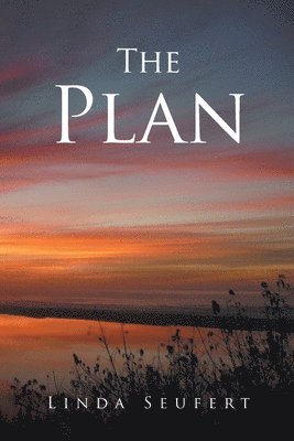 The Plan 1