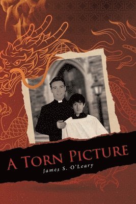 James S O'Leary - Torn Picture, Häftad