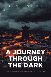 bokomslag A Journey Through The Dark