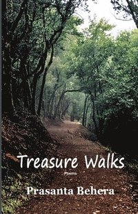 bokomslag Treasure Walks
