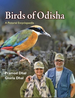 bokomslag Birds of Odisha