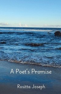 bokomslag Poet's Promise