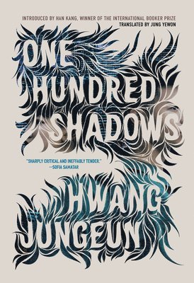 One Hundred Shadows 1