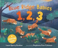 bokomslag Blue Ridge Babies 1, 2, 3