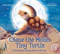 bokomslag Chase the Moon, Tiny Turtle