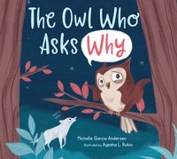 bokomslag The Owl Who Asks Why