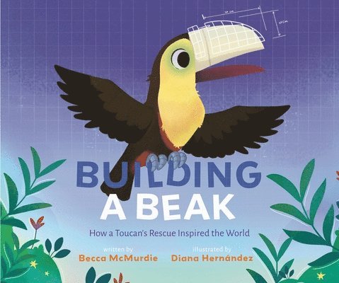 Building a Beak 1