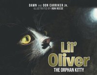 bokomslag Lil' Oliver the Orphan Kitty