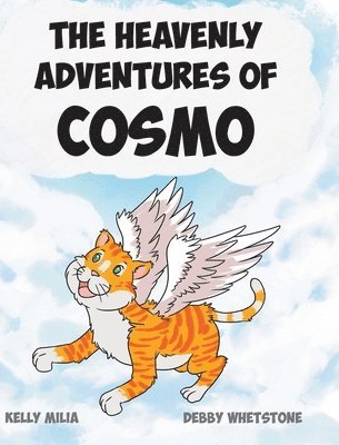 The Heavenly Adventures Of Cosmo 1