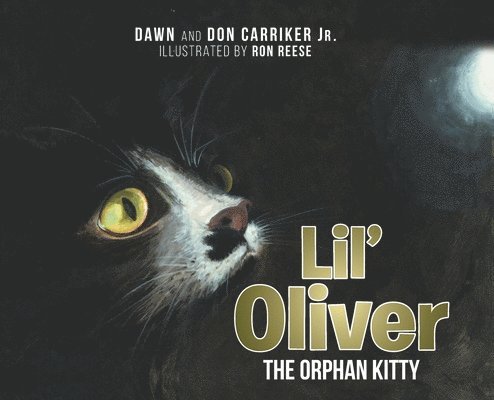 Lil' Oliver the Orphan Kitty 1