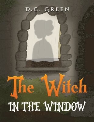 bokomslag The Witch in the Window