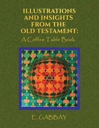 bokomslag Illustrations and Insights from the Old Testament