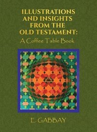 bokomslag Illustrations and Insights from the Old Testament