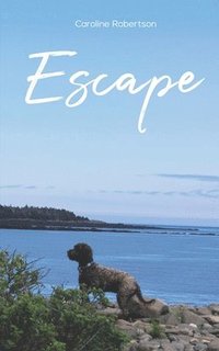 bokomslag Escape