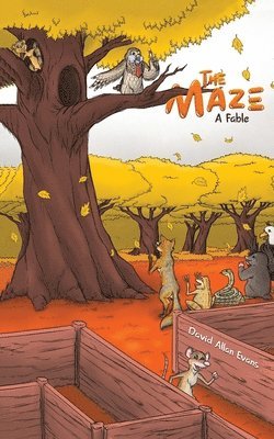 The Maze 1