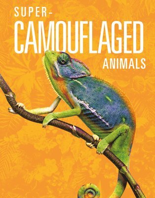 Super-Camouflaged Animals 1