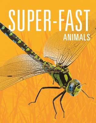 Meg Greve - Super-Fast Animals, Inbunden