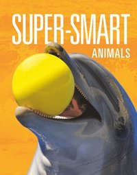 bokomslag Super-Smart Animals