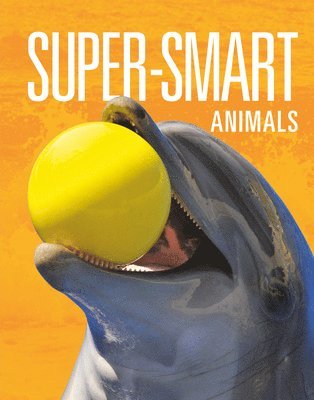 Super-Smart Animals 1