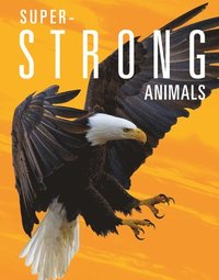 bokomslag Super-Strong Animals