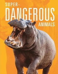 bokomslag Super-Dangerous Animals