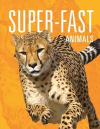 bokomslag Super-Fast Animals