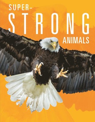 bokomslag Super-Strong Animals