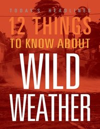 bokomslag 12 Things to Know about Wild Weather