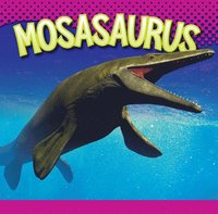 bokomslag Mosasaurus