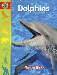 bokomslag Dolphins
