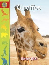bokomslag Giraffes