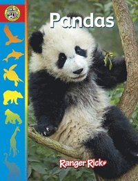 bokomslag Pandas