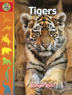 bokomslag Tigers