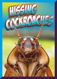 bokomslag Hissing Cockroaches
