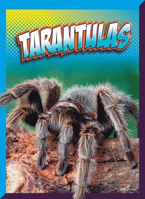 Tarantulas