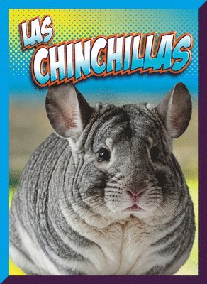 Marysa Storm - Las Chinchillas, Häftad