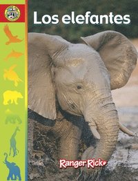 bokomslag Los Elefantes: Spanish Edition