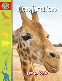 bokomslag Las Jirafas: Spanish Edition