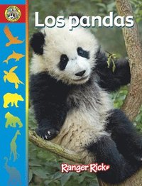 bokomslag Los Pandas: Spanish Edition