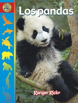 bokomslag Los Pandas: Spanish Edition