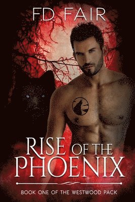 bokomslag Rise of the Phoenix